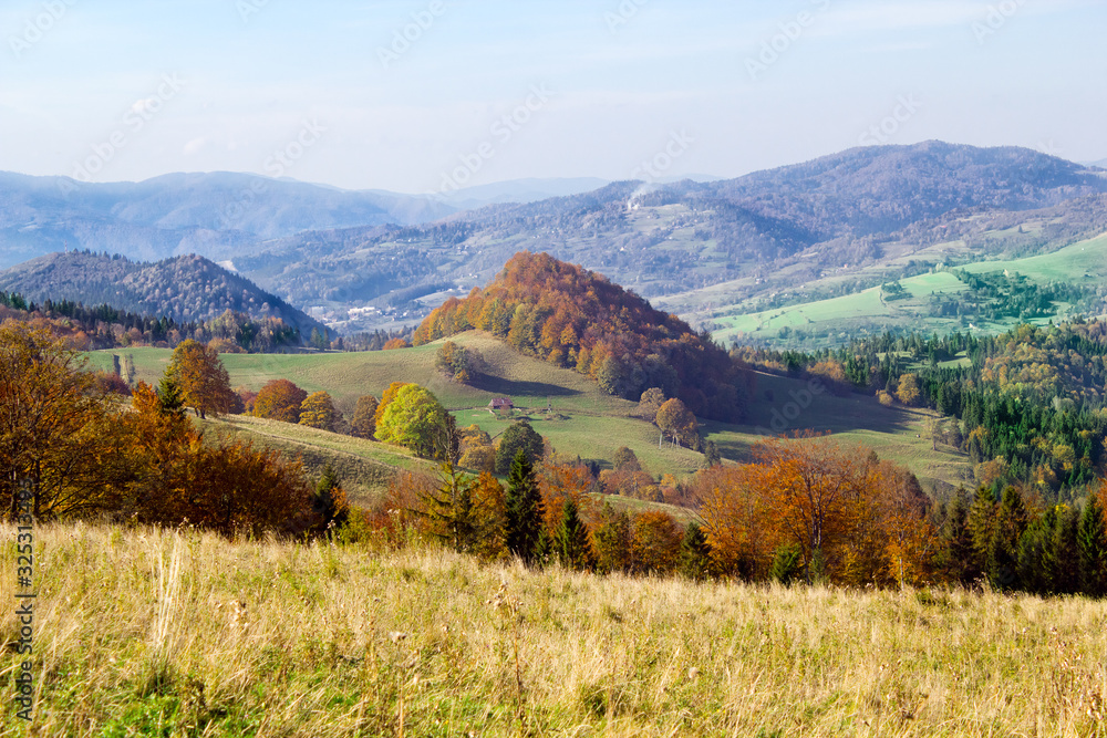 Pieniny Mountains, Polonina Kiczera. Autumn.