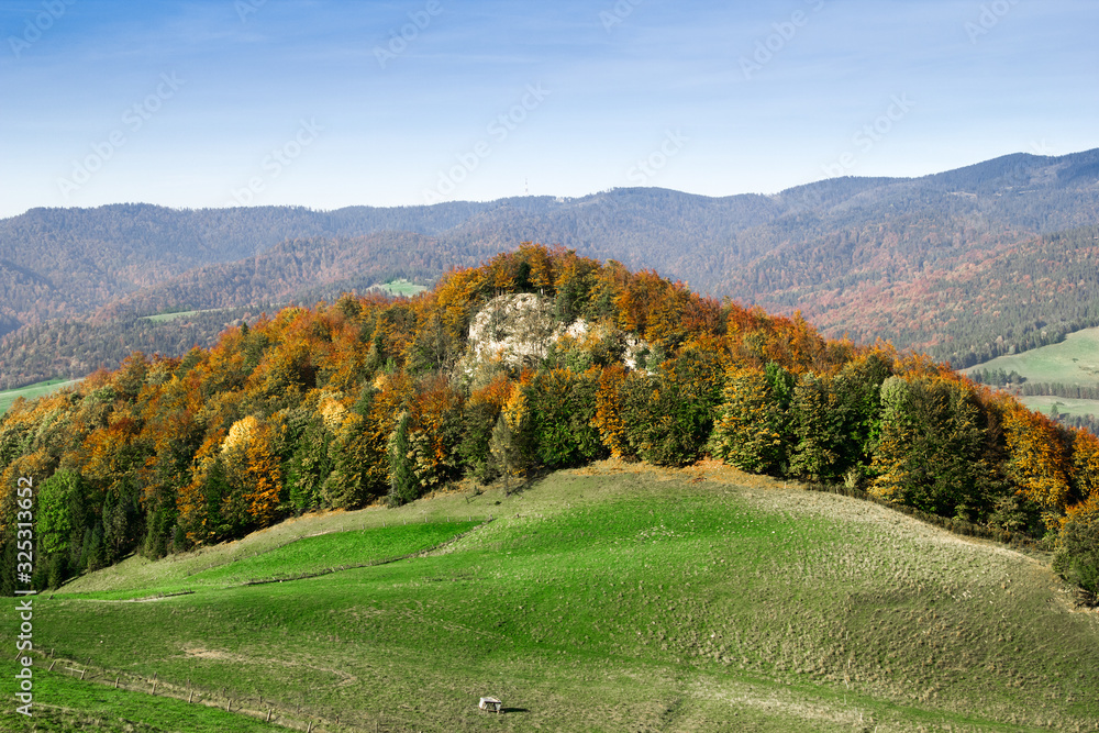 Pieniny Mountains. Autumn. Polonina Kiczera.