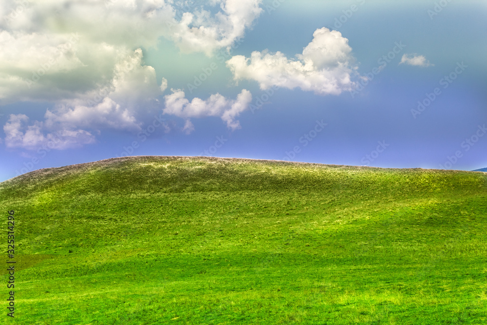 Blue sky and green grass on hill in summer
