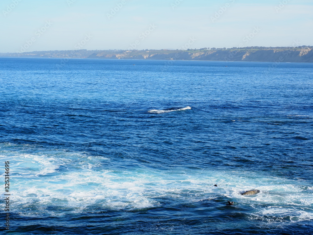 Landscape of La Jolla beach Landscape of La Jolla beach