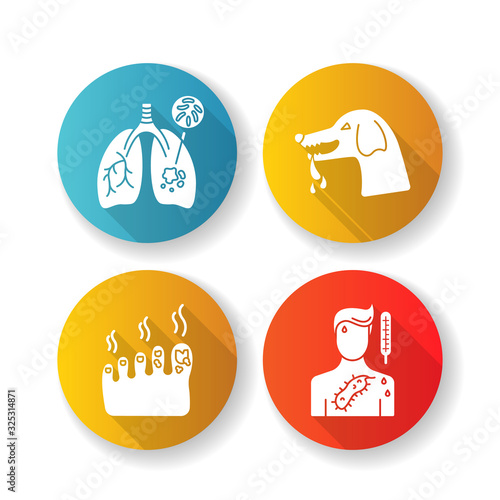 Viral and infectious diseases flat design long shadow glyph icons set. Tuberculosis, rabies, fungal infection and ebola virus. Dangerous illnesses silhouette RGB color illustration