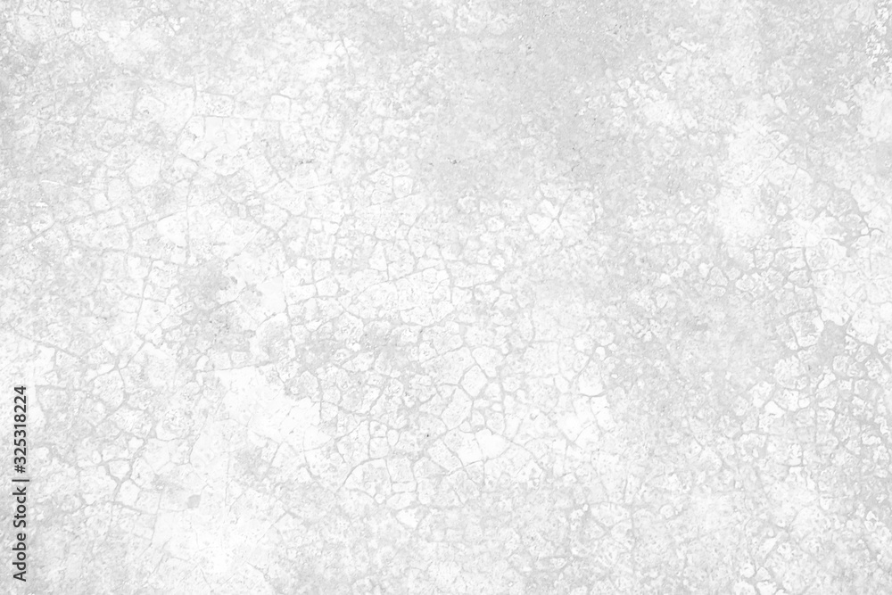 White gray concrete floor texture or background  and copy space