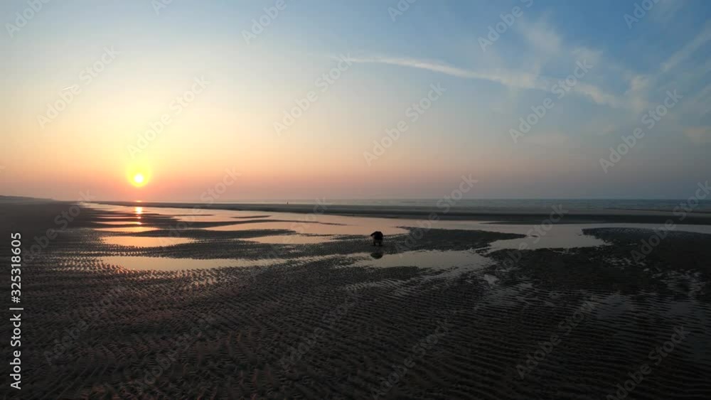 Aerial, orbit, drone shot around a silhouette man photographing on a calm beach, on Langeoog island, at sunset, in North Germany Aerial, orbit, drone shot around a silhouette man photographing on a calm beach, on Langeoog island, at sunset, in North Germany