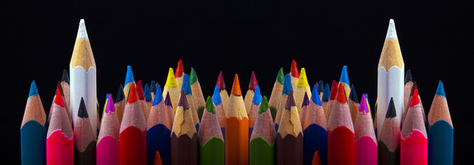 Leadership concept, two white color outstanding than others colors, panoramic image