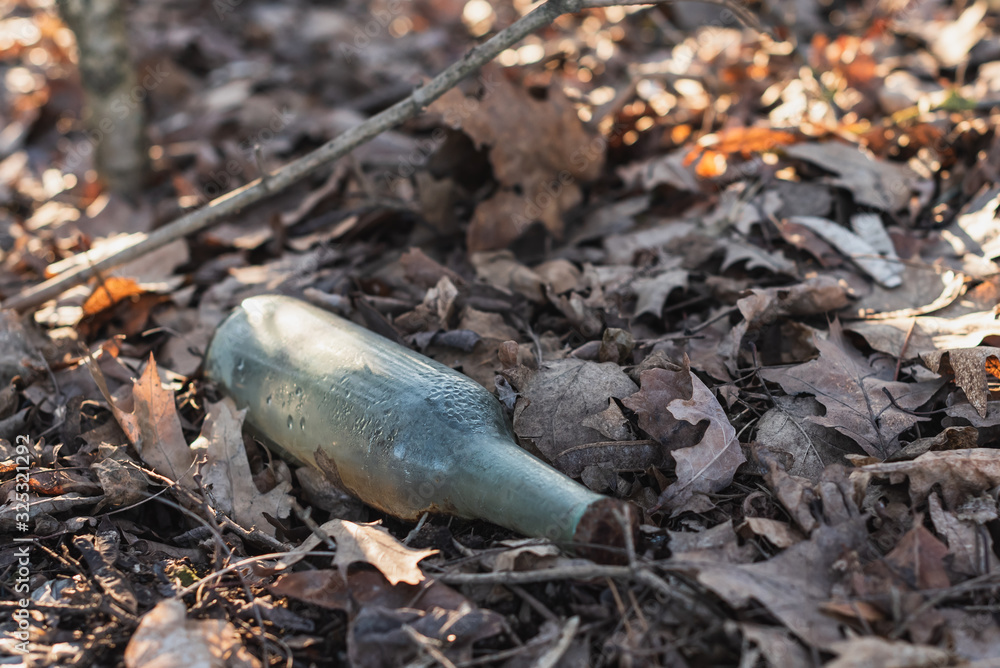 Obraz premium glass bottle littering the environment in the forest surrounded by leaves