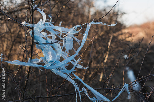 plastic bag littering the environment in the forest