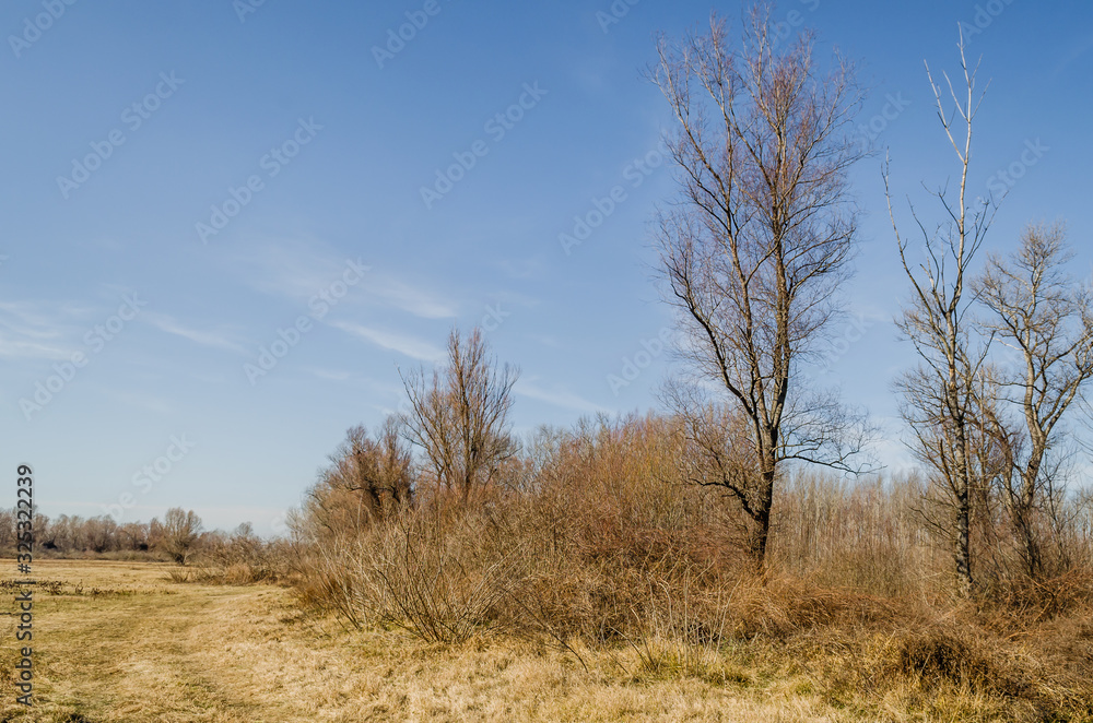 Fototapeta premium Panorama sleeve of the Danube River near Novi Sad
