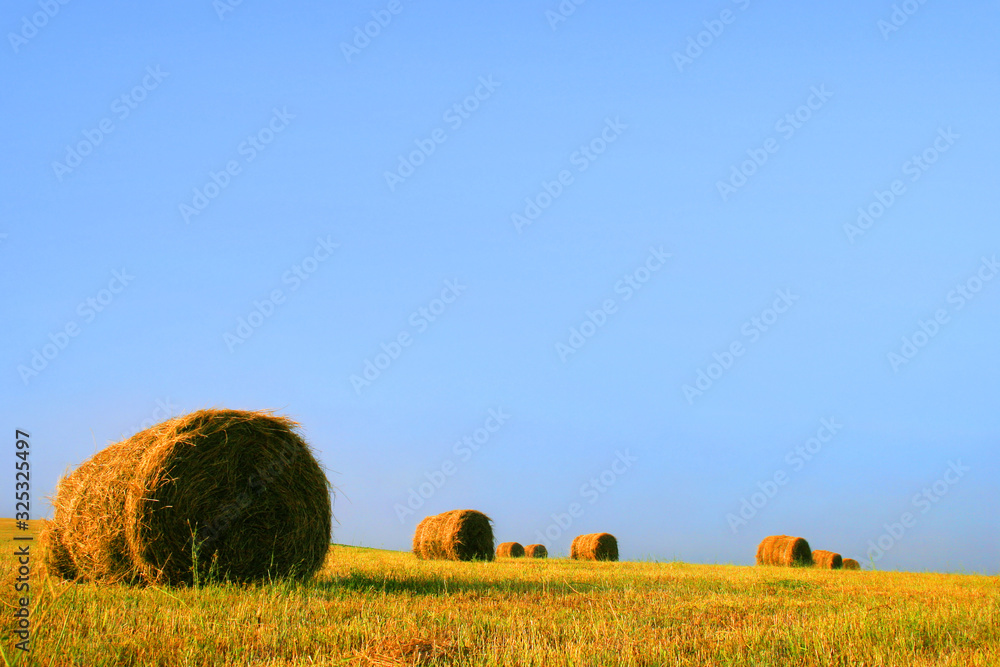 field with a roll of straw against a blue sky