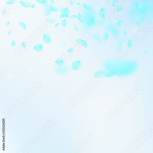 Turquoise flower petals falling down. Charming rom