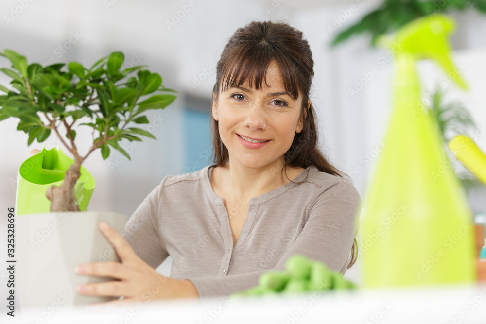 woman happy with her new bonsai woman happy with her new bonsai