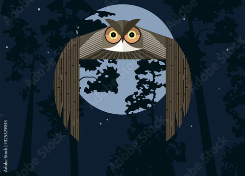 Flying owl