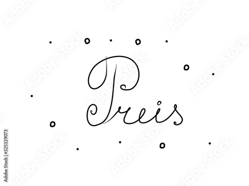 Preis phrase handwritten with a calligraphy brush. Prize in german. Modern brush calligraphy. Isolated word black
