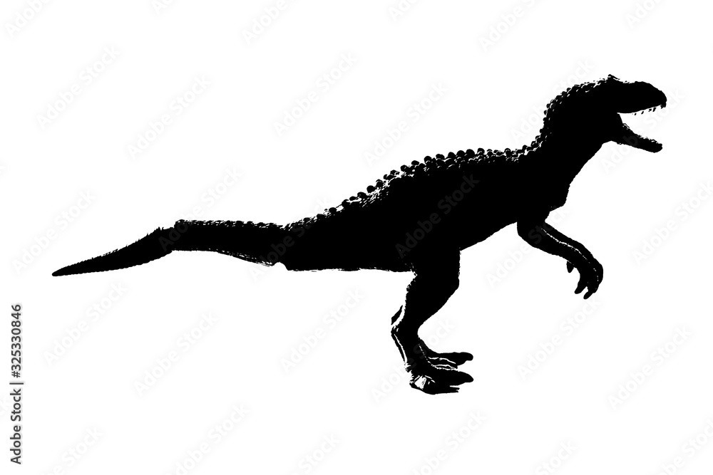 silhouette image black giganotosaurus dinosaur monster in cretaceous period on white background silhouette image black giganotosaurus dinosaur monster in cretaceous period on white background