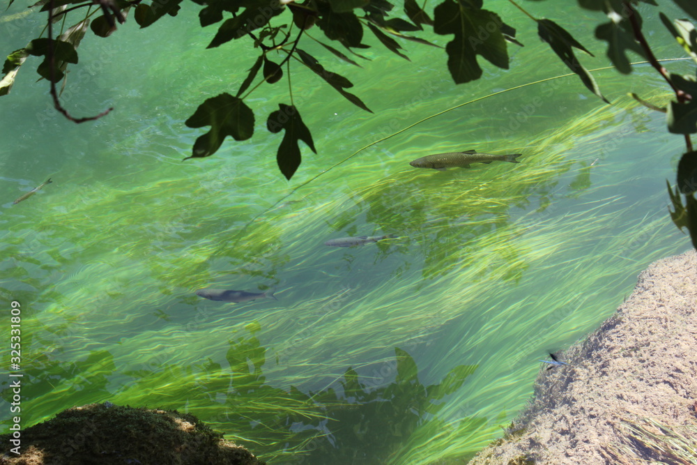 Croatia Krka Waterfall