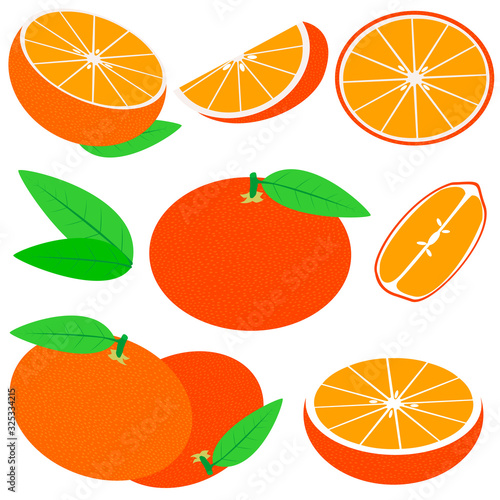 Vector mandarins set isolated on white background. Fresh and juicy whole mandarins and slices.