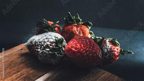 Rotten strawberries, bad food photo