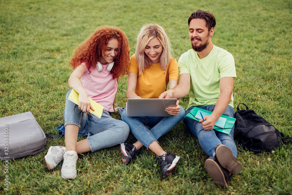 Fototapeta premium Cheerful students using laptop on lawn