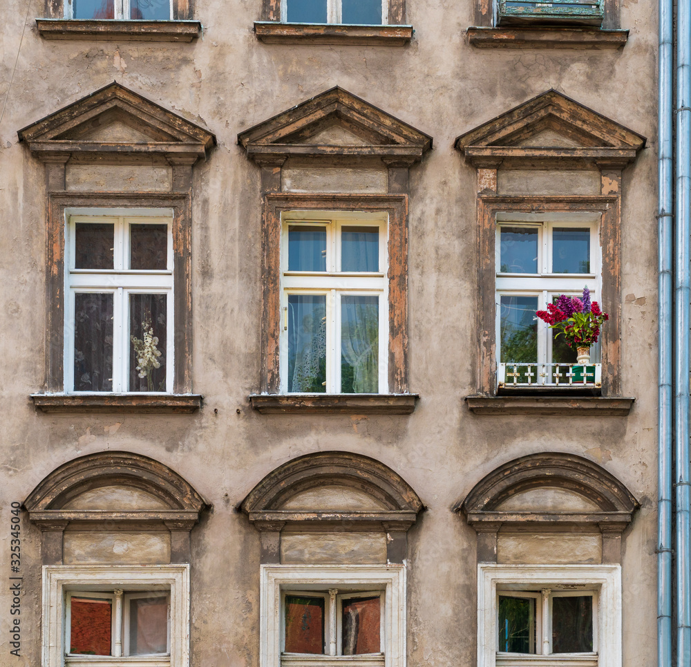 Weathered and stained house facade with rows of windows and one vibrant bunch of flowers on a window sill in Wroclaw, full-frame close-up