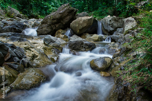 stream in the tropical forest
