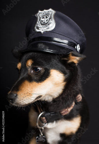 Cop Dog