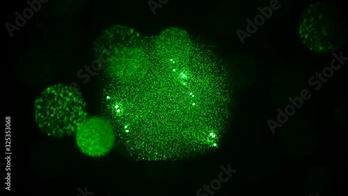 Coronavirus COVID-19  disease COVID-19 outbreak illustration