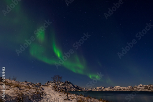 Northern lights, Aurora borealis over the mountains in the North of Europe - Lofoten islands, Norway