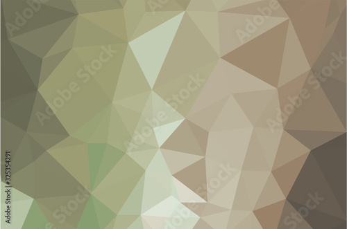 Multi color geometric triangular low poly background style