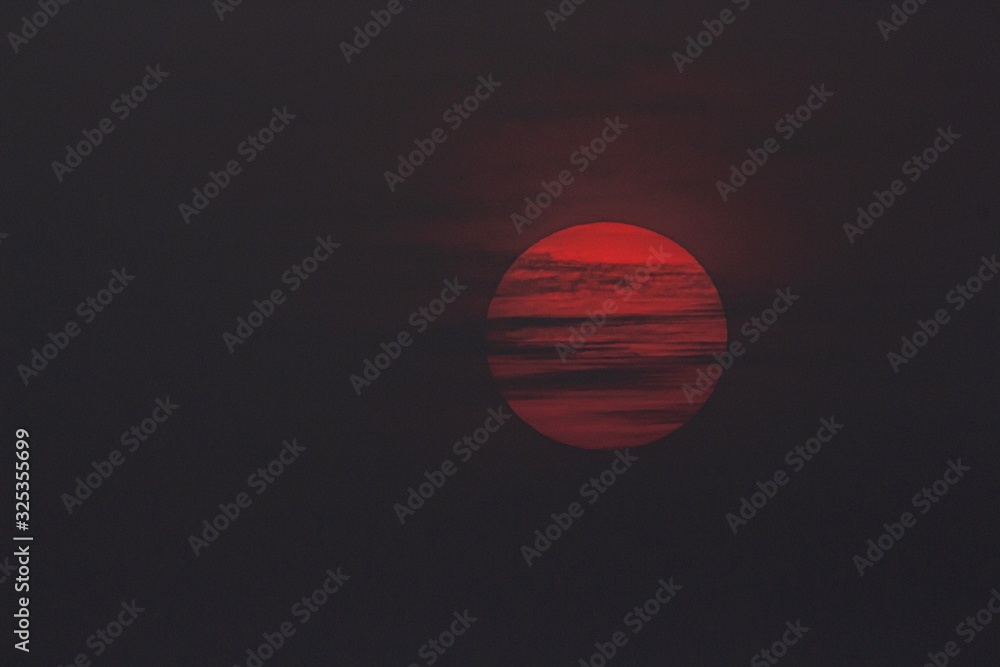 My lovely sun. My lovely sun.
