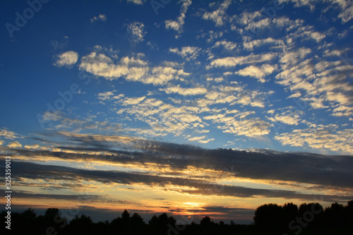 Landscape, sunny dawn in a field