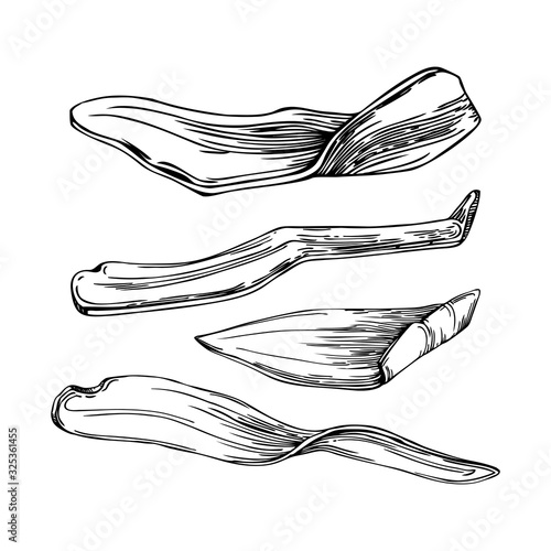 Hand drawn dried mango fruits sketches set. Vintage dehydrated mango in engraved style. Delicious healthy fruit dessert. Realistic oriental sweets vector illustrations.