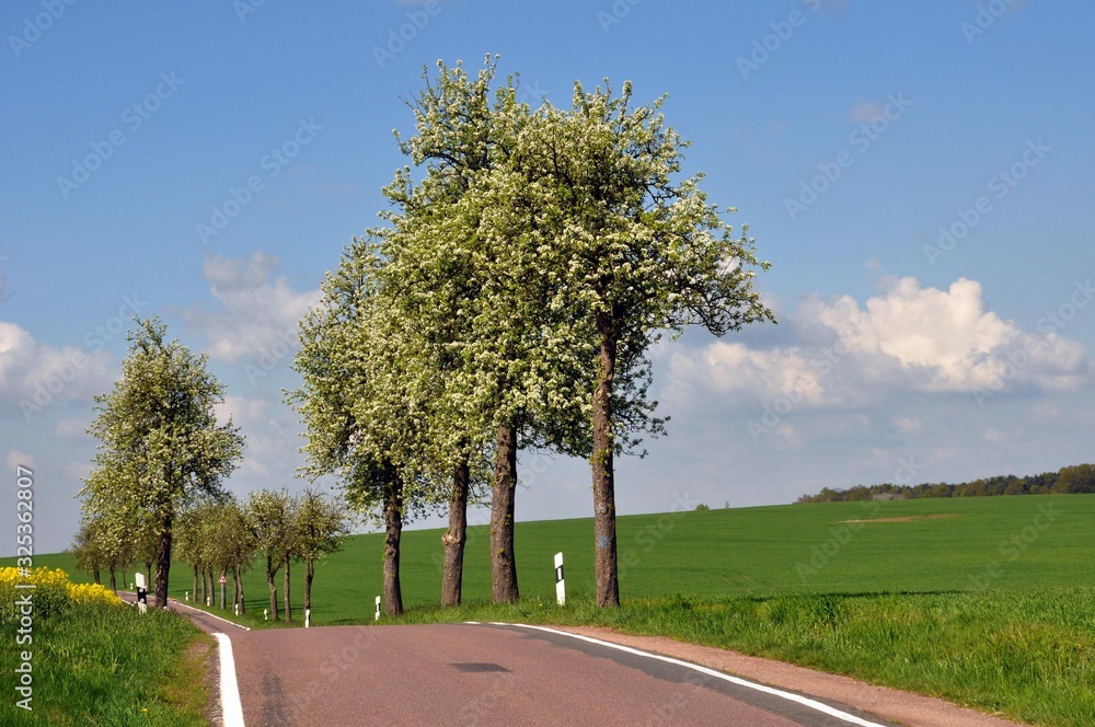 Fototapeta premium Wandern um Schmannewitz