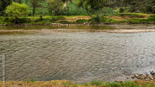 lake in forest photo