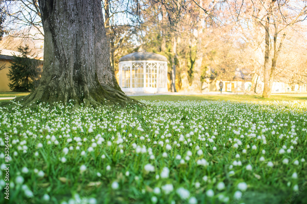 Naklejka premium früher Frühling