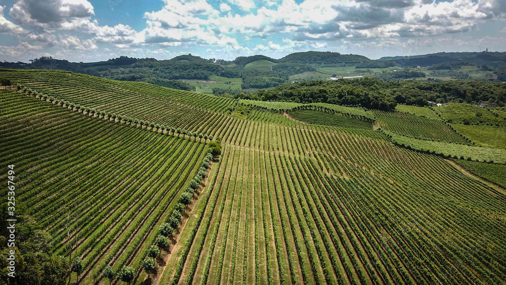 Aerial view of the valley of the vineyards in Bento Gonçalves, in the Serra Gaúcha, Brazil