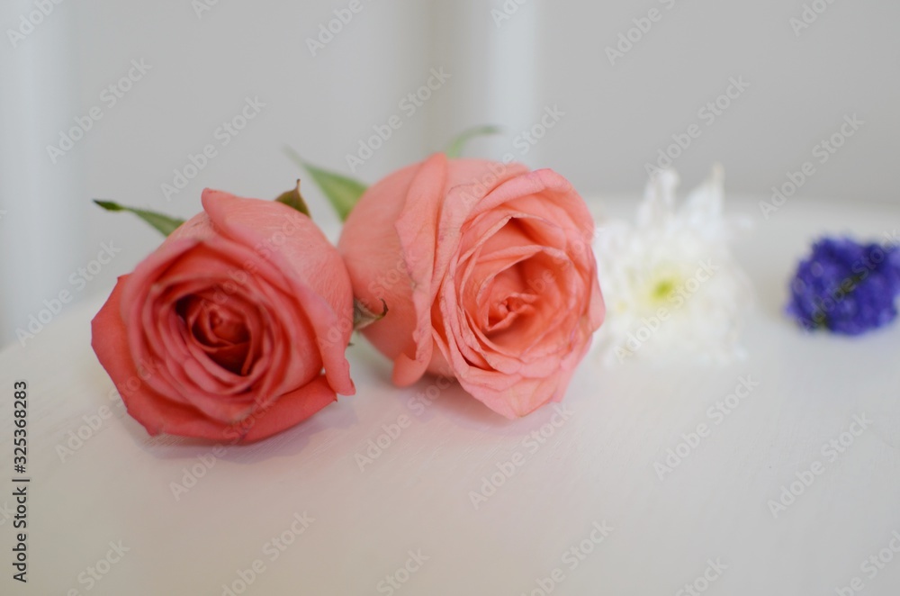 Beautiful Flowers on a white Table, Background Beautiful Flowers on a white Table, Background