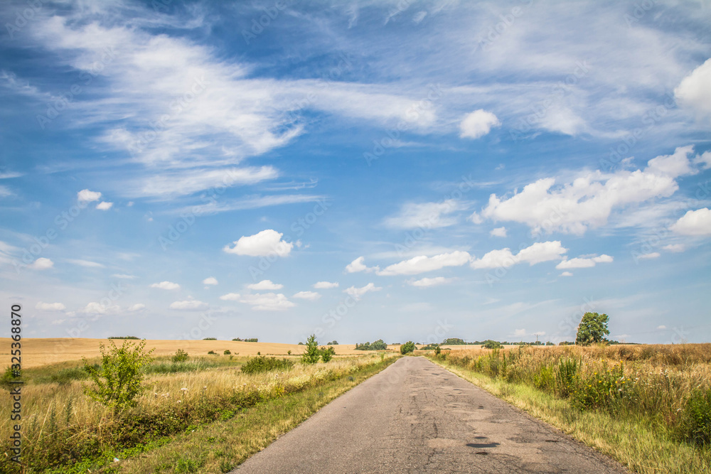 Road among fields in the summer	