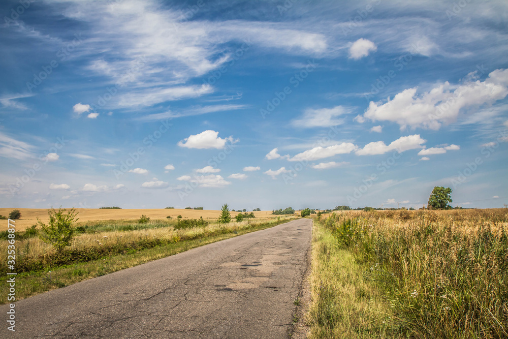 Road among fields in the summer	