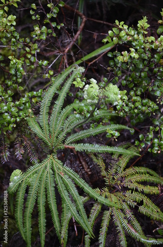Tongariro Nationalpark Neuseeland