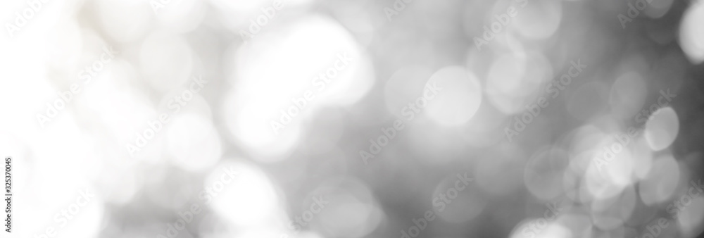 Light White, black, gray Background Blurred leaves, circular bokeh, abstract from beautiful leaves, green nature concepts and for design images and computer screens.