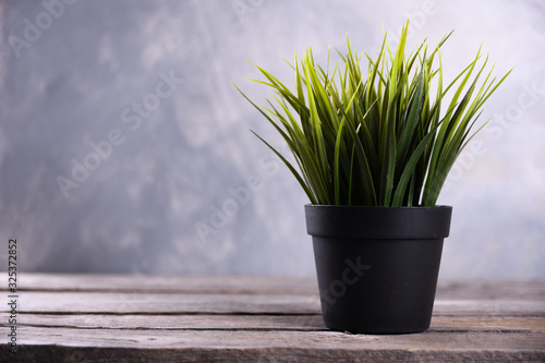 Artificial flowers grass different form in a pot on wooden background close up with copy space and text