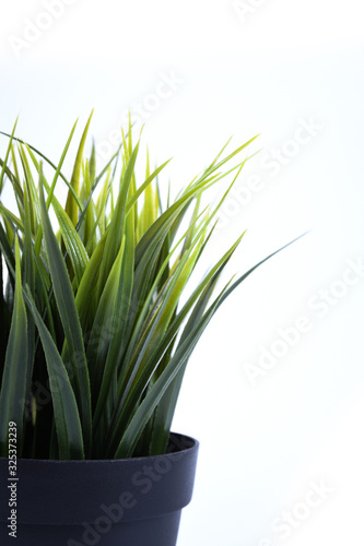 Artificial flowers grass different form in a pot isolated on white background close up