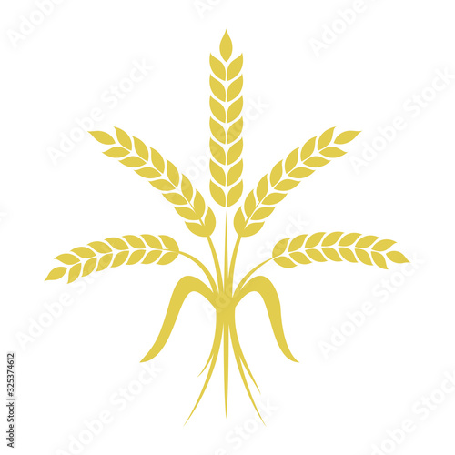 Bunch of wheat on white background. Vector illustration.