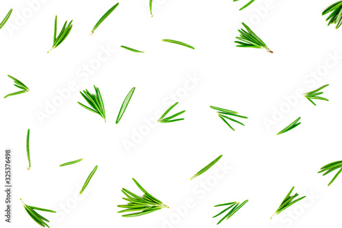 Isolated on white rosemary textured top view flat lay background with green, freshly cut leaves, twigs and branches.