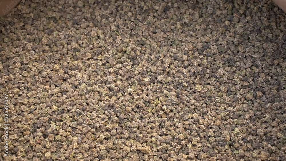 Dry selective fodder beet seeds. Dry selective fodder beet seeds.