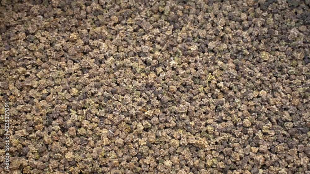 Background of dry fodder beet seeds. Planting time. Early spring preparations for the field season. Background of dry fodder beet seeds. Planting time. Early spring preparations for the field season.