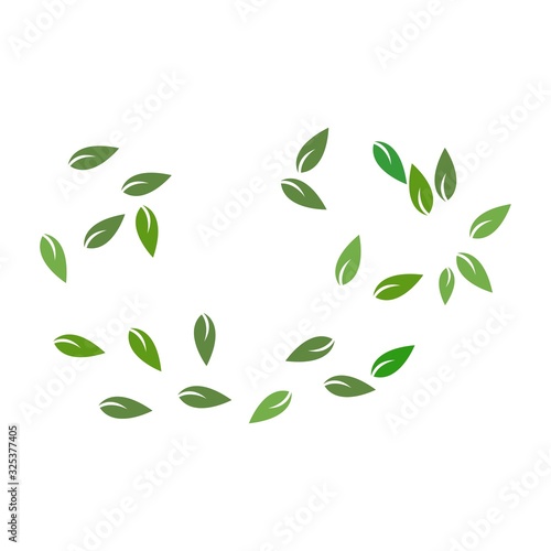 leaves background pattern