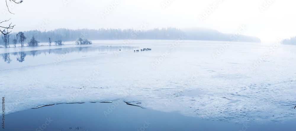 Obraz premium Cold day by the lake. Trees and nature are asleep in this blue fog of frost and ice.