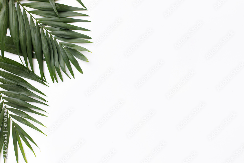 Summer vibes. Vacation, paradise, ocean shore resort, tropical beach travel concept, sea coast. Palm tree leaves on white background. Summertime creative layout, copy space