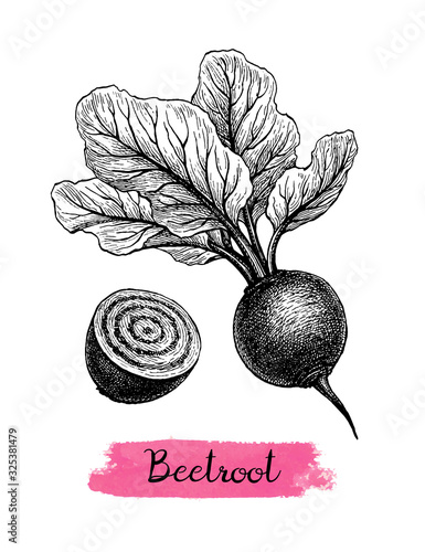 Ink sketch of beetroot.