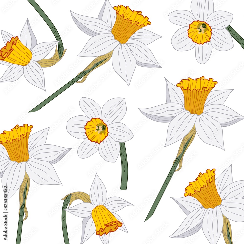  Narcissus. Close-up. Texture. Spring flowers. On a white background daffodil flowers. Decor element. Vector illustration.